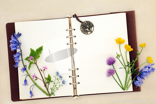 Image of English Spring Wildflower Nature Study