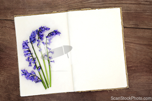 Image of Bluebell Flower Nature Study with Old Hemp Paper Notebook