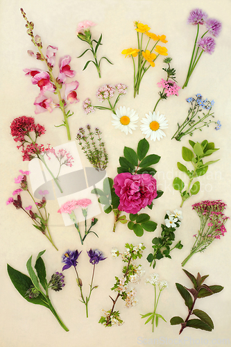 Image of British Spring and Summer Flowers and Wildflowers