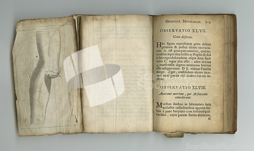 Image of Antique medical page, information and library stamp for authorized research on medicine study, knowledge or pathology. Latin language, wisdom or parchment paper for healthcare education literature