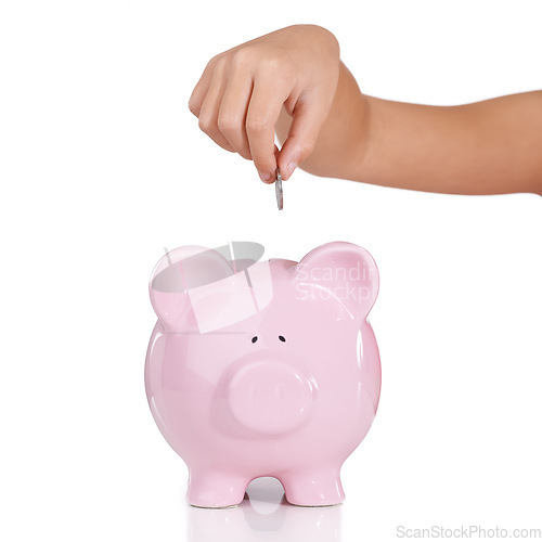 Image of Hand, piggy bank and coins in studio closeup with savings, investment and financial security by white background. Person, money box and animal container for cash, learning and funding for future