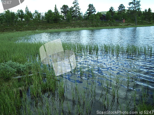 Image of Peaceful lake