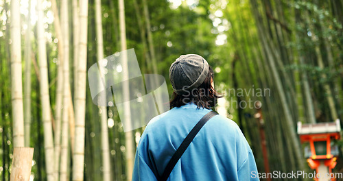 Image of Back, travel and person at bamboo forest outdoor, nature or park in Ariyishiyama, Kyoto, Japan. Rear view of tourist in green garden, environment and sightseeing in jungle adventure on summer trip