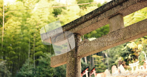 Image of Nature, forest and stone Torii gate in Kyoto with peace, mindfulness and travel with spiritual history. Architecture, Japanese culture and Shinto shrine in woods with sculpture, memorial and monument