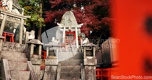 Image of Stone Shinto shrine with Torii gate, statue and peace on travel with spiritual history in Kyoto. Architecture, Japanese culture and temple in forest with steps, sculpture and memorial in autumn trees