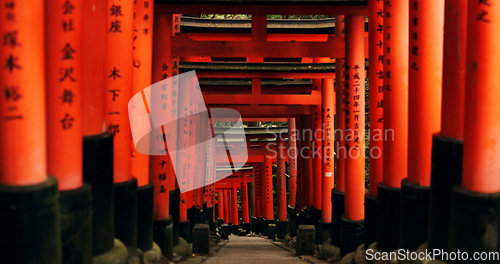 Image of Japan, red torii gates and path in Fushimi inari-taisha for vacation, holiday or walkway for tourism. Pathway, Shinto religion and shrine in Kyoto for traditional architecture or spiritual culture