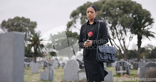 Image of Sad woman, graveyard and rose on tombstone in mourning, loss or grief at funeral or cemetery. Female person with flower in depression, death or goodbye at memorial or burial service for loved one