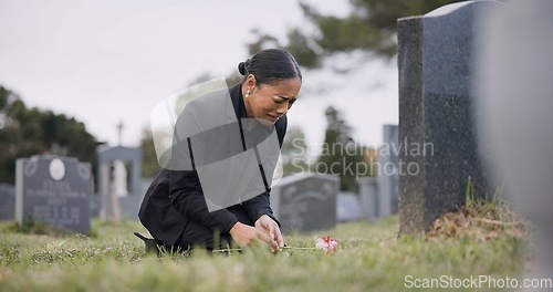 Image of Sad woman, graveyard and crying with rose by tombstone in mourning, loss or grief at funeral or cemetery. Female person with flower in depression, death or goodbye at memorial or burial service