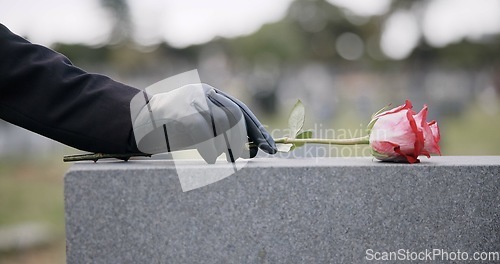 Image of Funeral, cemetery and person with rose on tombstone for remembrance, ceremony and memorial service. Depression, sadness and hands with flower on gravestone for mourning, grief and loss in graveyard