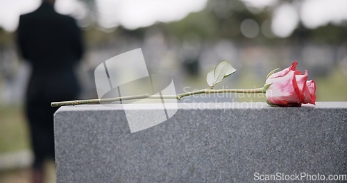 Image of Funeral, cemetery and hands with rose on tombstone for remembrance, ceremony and memorial service. Depression, sadness and person with flower on gravestone for mourning, grief and loss in graveyard