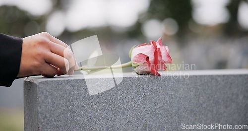 Image of Funeral, cemetery and hands with rose on tombstone for remembrance, ceremony and memorial service. Depression, sadness and person with flower on gravestone for mourning, grief and loss in graveyard