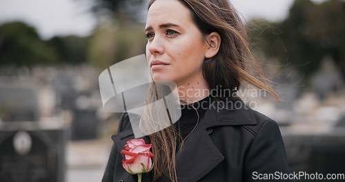 Image of Rose, death or sad woman in graveyard for funeral. spiritual service or burial to respect the Christian religion. Mourning, depressed or person in cemetery thinking of grief, loss or goodbye farewell