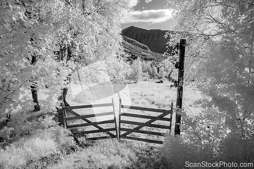 Image of A tranquil infrared scene with a rustic gate, surrounded by ghostly trees in a mountainous region under a clear sky.