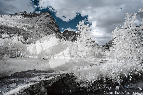 Image of A tranquil scene captured using infrared photography, showcasing white foliage against dark mountain peaks.