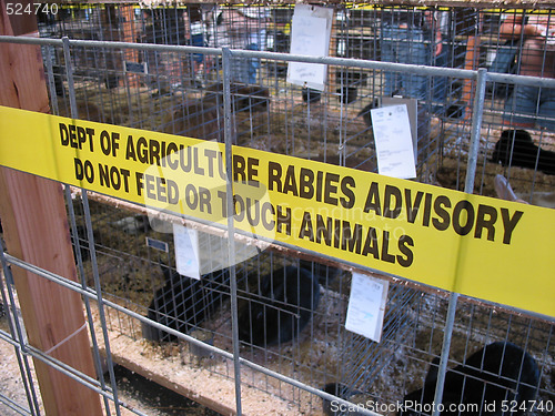 Image of Rabies Caution Tape