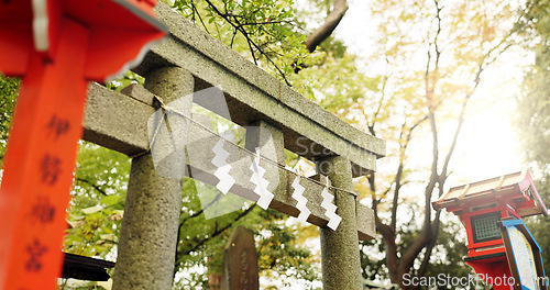 Image of Torii gate, shide and temple in forest in Japan with zen, spiritual history and monument in garden. Nature, trees and Japanese architecture woods with Asian culture, sunshine and stone shrine in park