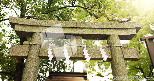 Image of Torii gate, trees or nature in japan for worship, holy or prayer location for peace in forest. Asian architecture, culture and ancient symbol with religion, god and gateway of sacred to shinto shrine