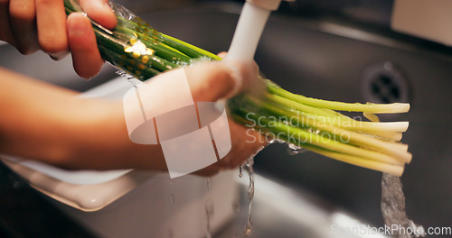 Image of Chef hands, wash spring onion and sink for dirt, virus or bacteria for safety, cooking and meal prep. Person, closeup and cleaning vegetable in water, faucet or kitchen for catering at restaurant job