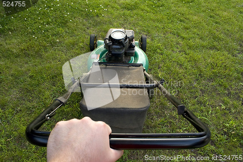 Image of Pushing the Lawn Mower