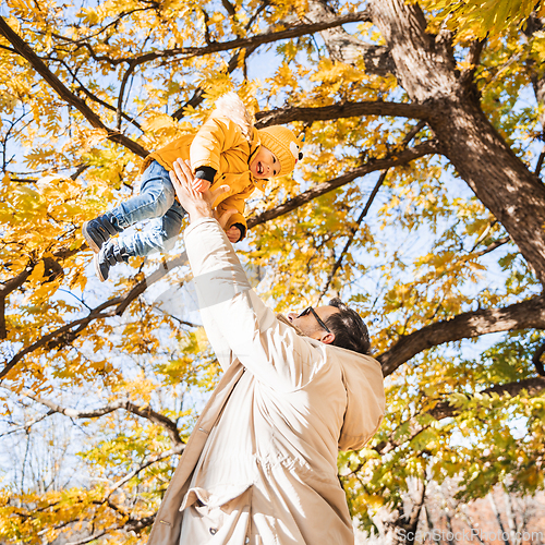Image of More, more,...dad, that's fun. Happy young father throws his cute little happy baby boy up in the air. Father's Day, Father and his son baby boy playing and hugging outdoors in nature in fall.