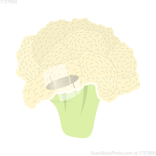 Image of Cauliflower Icon