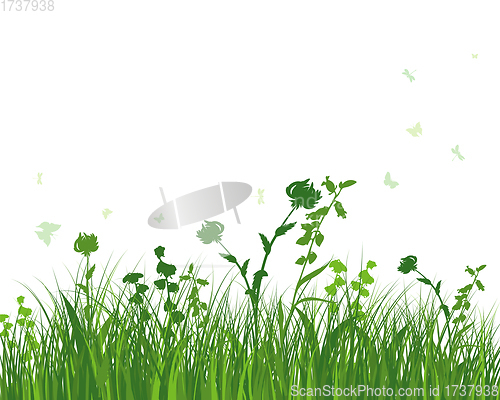 Image of Green Grass Meadow