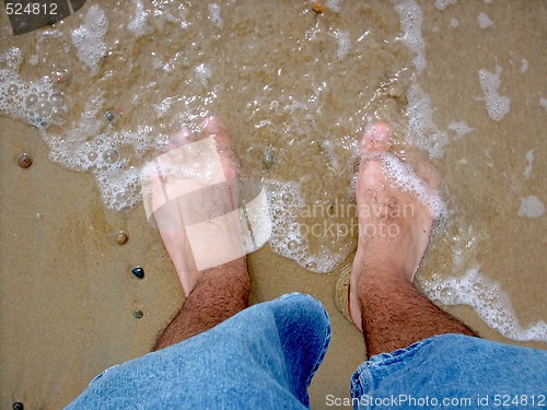 Image of Hairy, Cold, Wet Feet