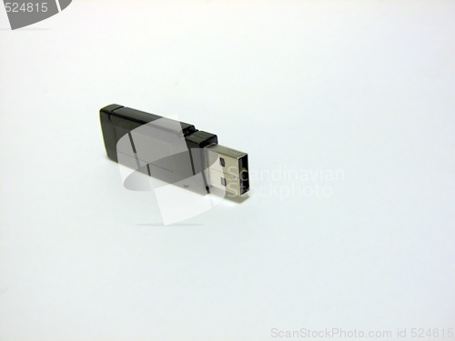 Image of USB Flash/Thumb Drive