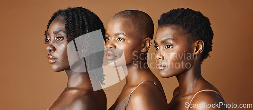 Image of Skincare, beauty and young black women in studio with glowing, natural and facial routine. Wellness, cosmetic and portrait of African female friends with dermatology treatment by brown background.