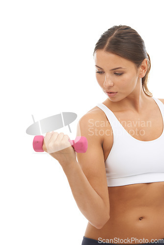 Image of Studio, dumbbells and woman doing arm exercise, bodybuilder strength development or bicep workout. Weightlifting equipment, fitness and sports athlete training for muscle growth on white background