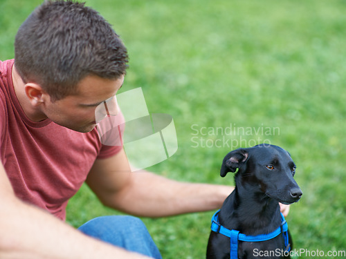 Image of Man, dog and outdoor park for bonding connection, pet health training for obedience. Male person, animal and hugging at rescue shelter garden for happy home care play, environment walk on grass field