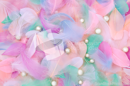 Image of Feather and Oyster Pearl Abstract Background 