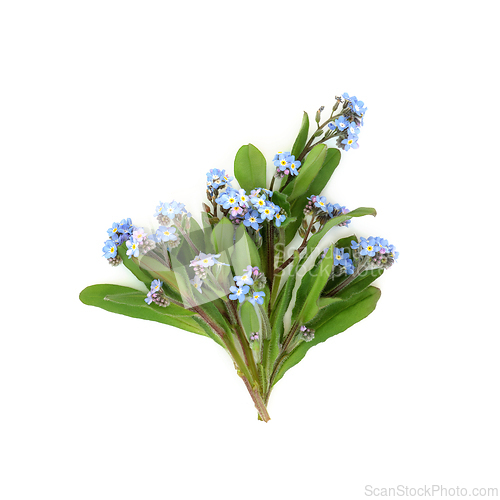 Image of Forget Me Not Edible Flower Herb Bouquet 