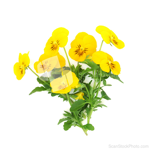 Image of Yellow Pansy Flower Bouquet Health Food Garnish