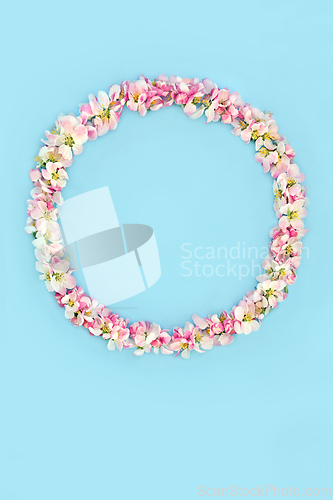 Image of Apple Blossom Flower Wreath for Spring and Beltane