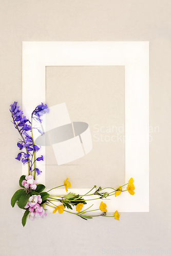 Image of Spring Bluebell Buttercup and Blossom Flower Background Frame