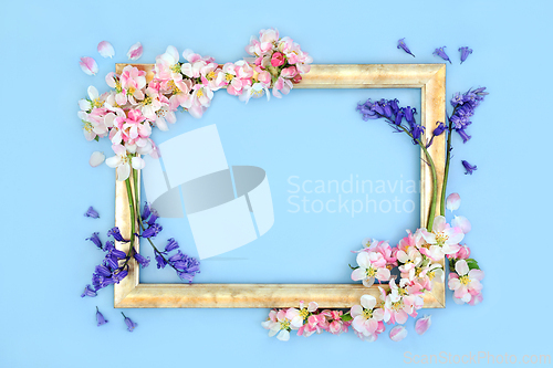 Image of Bluebell and Apple Blossom Flower Spring Background