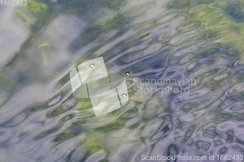 Image of water surface closeup