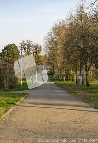 Image of suburb lane