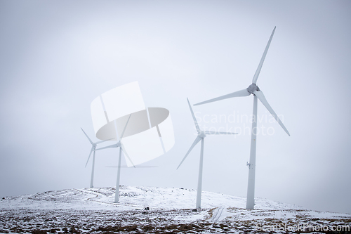 Image of Wind Mill