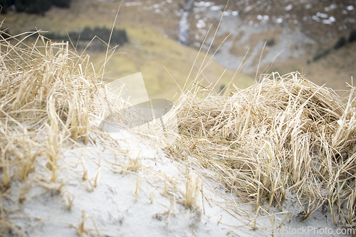 Image of Sand Dune