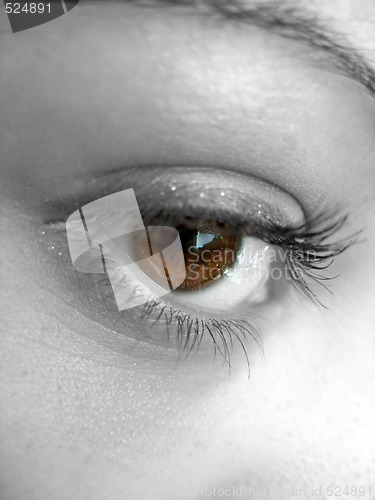 Image of Pretty Brown Eye