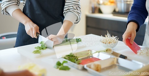 Image of Chef hands, knife and spring onion for cooking, chopping and prepare ingredients for catering services. Person, cutting vegetables and food for diet, nutrition and fine dining at restaurant in Tokyo
