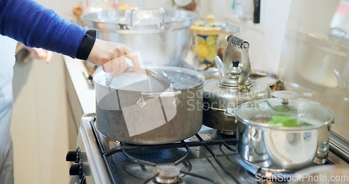 Image of Cooking, kitchen and hands of person with pot in boiling water for lunch, meal preparation and dinner. Steam, cuisine and traditional dish, ingredients and food for wellness, diet and nutrition