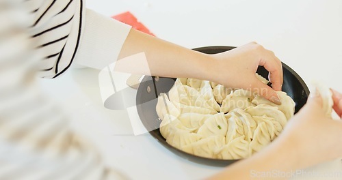 Image of Japan, hands and dumplings on table for dinner, brunch and traditional meal in restaurant or cafe. Culture, gyozo and asian cuisine for nutrition, healthy diet and lunch with preparation or pastry