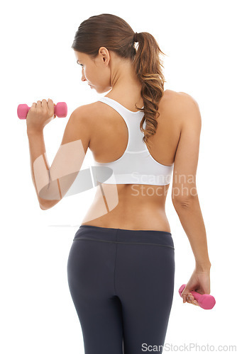 Image of Fitness, exercise and woman in studio with dumbbell for workout, muscle training and body building. Gym, power and commitment to improvement, strong girl weight lifting on white background from back.