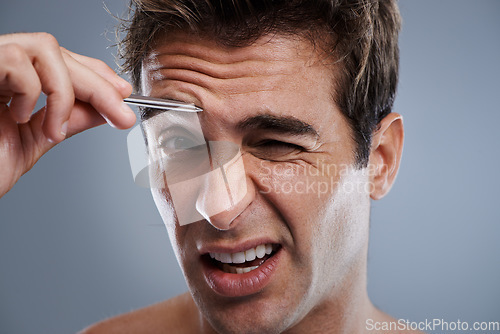 Image of Plucking, eyebrow and portrait of man with tweezers, hair removal and pain in grey background of studio. Beauty, epilation and person with grooming routine and treatment for self care with tools