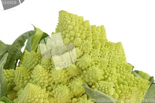 Image of Romanesco_5