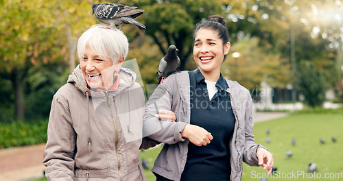 Image of Senior woman, walker and nurse outdoor in a park with healthcare for elderly exercise. Walking, healthcare professional and female person with peace and physical therapy in a public garden with carer