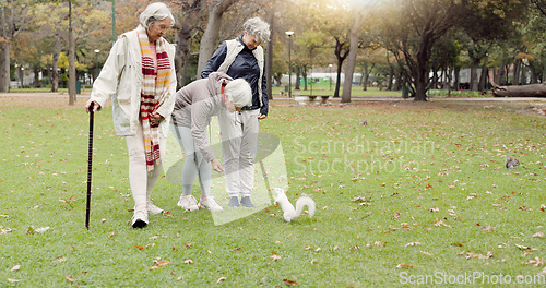 Image of Park, senior friends and feed squirrel, bonding and having fun outdoor. Group of elderly women, animal and nature, play on holiday and vacation, relax and enjoy quality time for retirement in winter